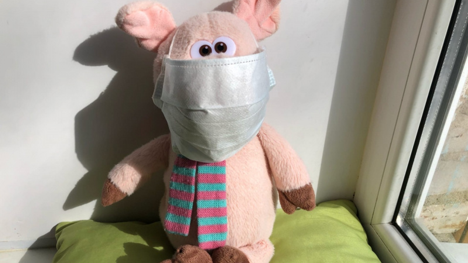 Фото автора.