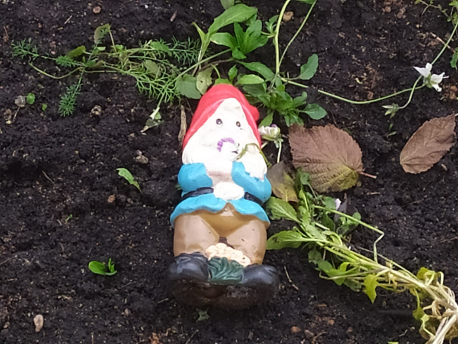 Фото Васили Саитовой.