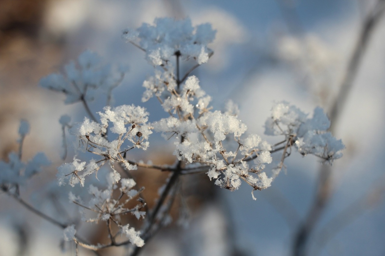 Евгении Сюткиной.