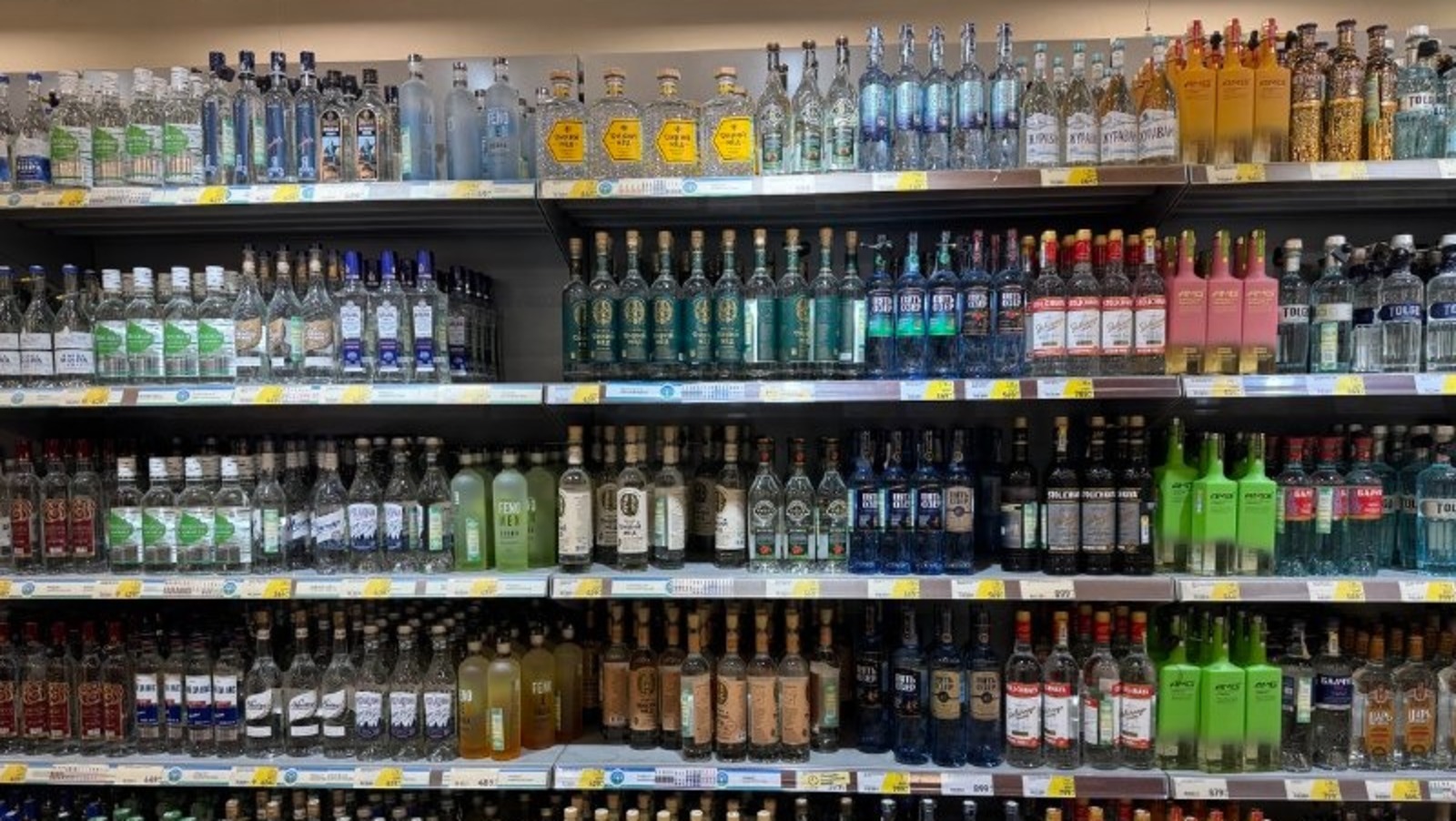 Елены Колоколовой. «Общественная электронная газета».