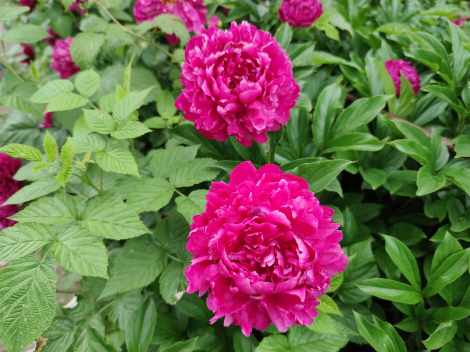 Дарьи Святохиной.