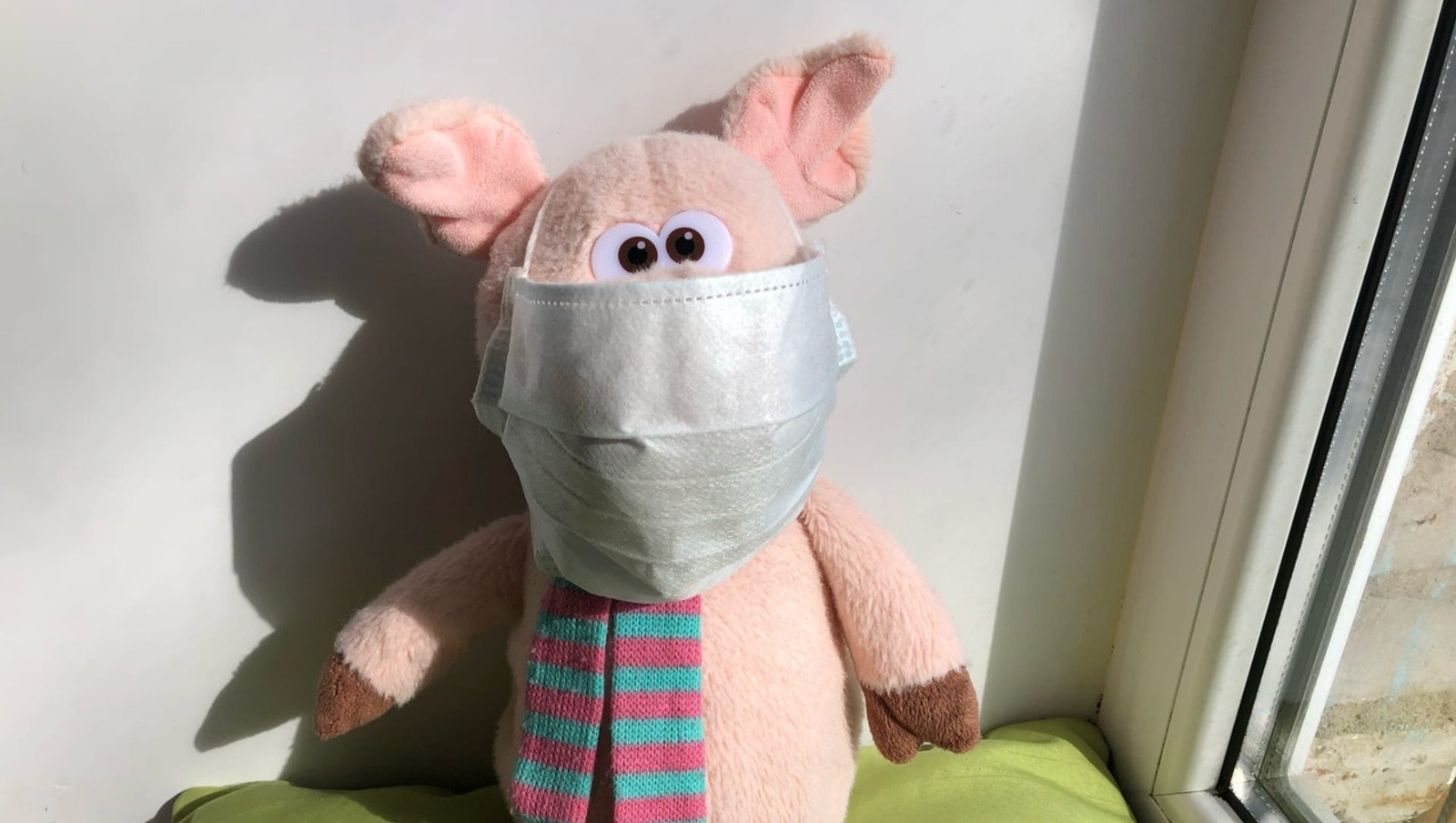 Елены Колоколовой.