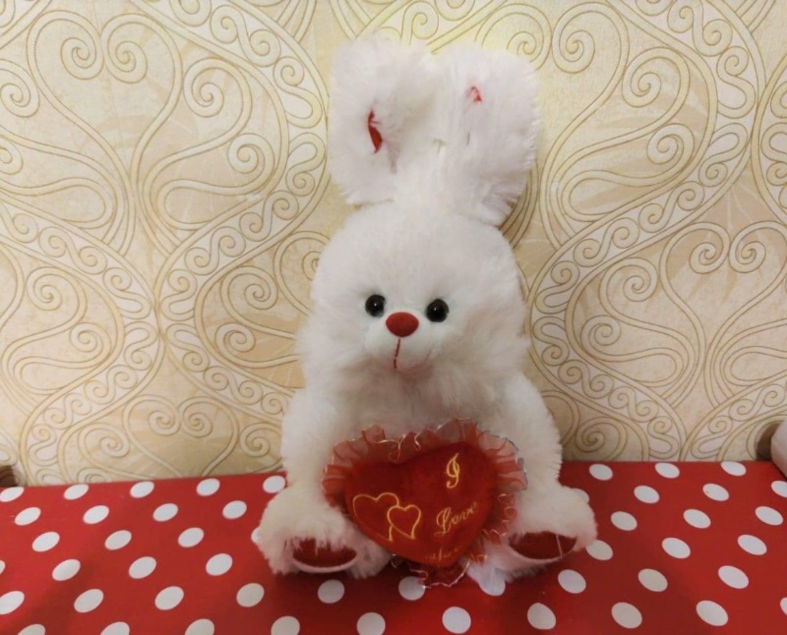 Дарьи Святохиной.