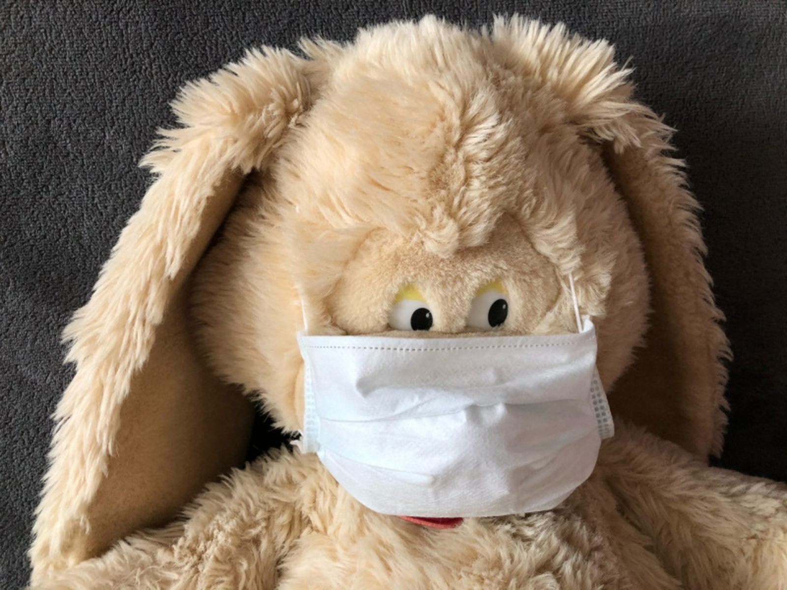 Фото Елены Колоколовой.