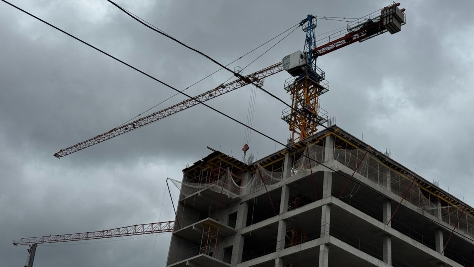 Елены Колоколовой.