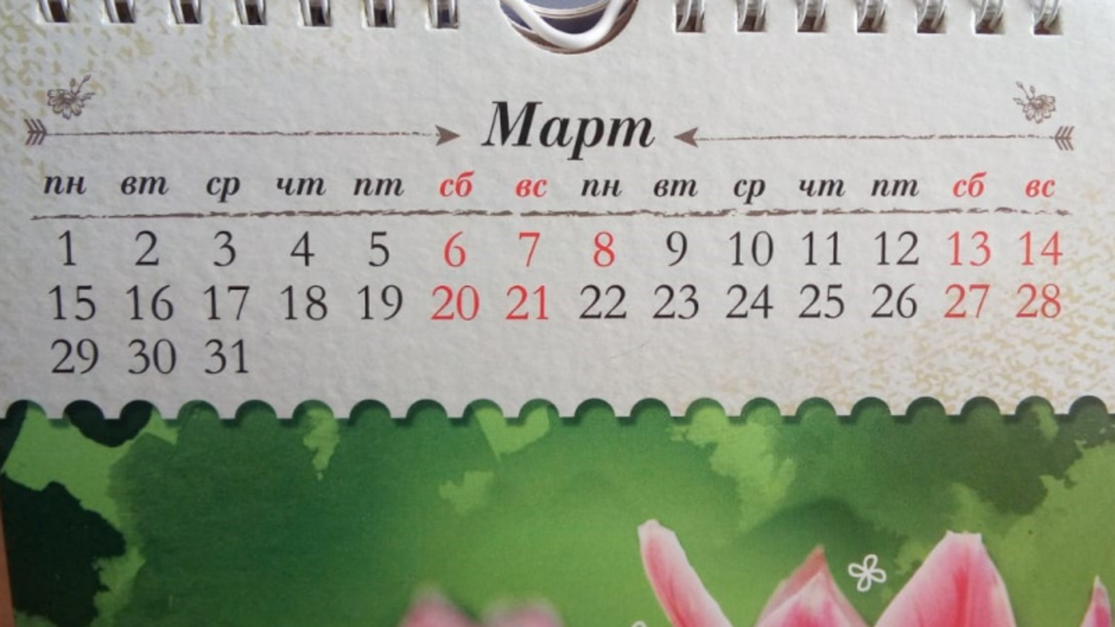 Фото Евгении Сюткиной.