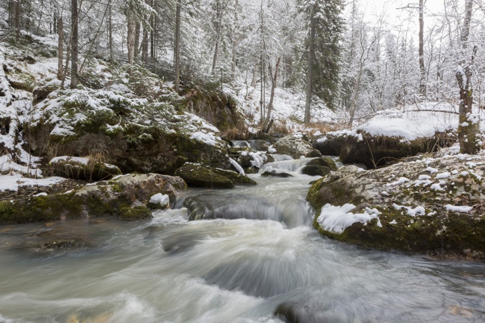 Фото Фаиля Абсатарова.