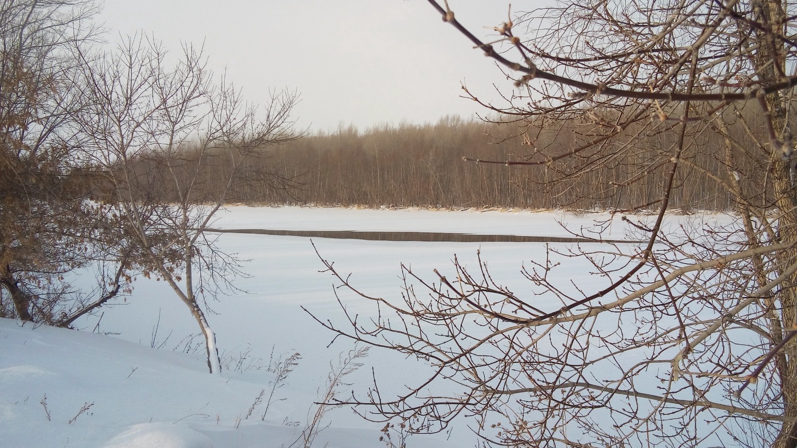 Евгении Сюткиной. «Общественная электронная газета».