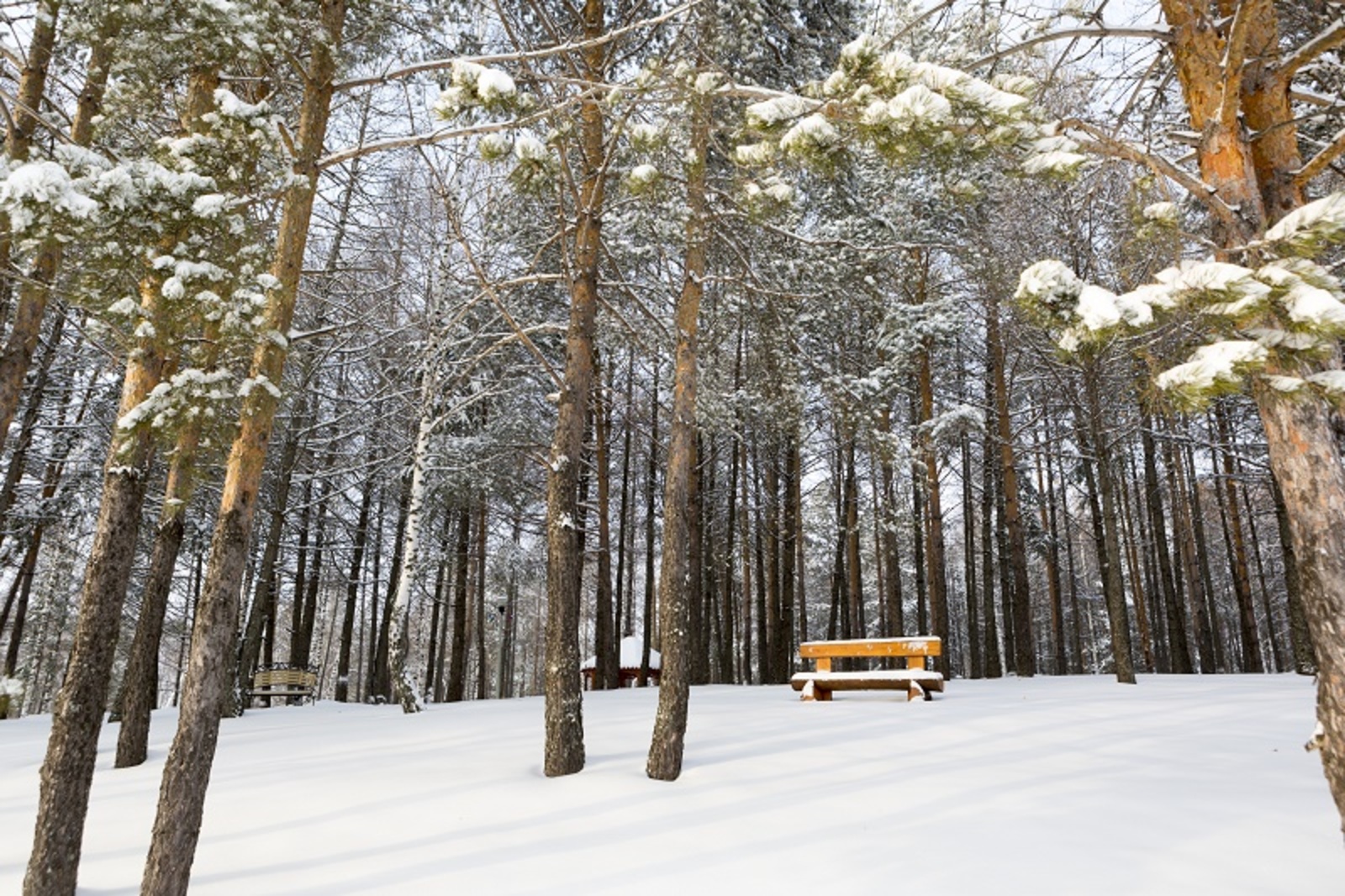 Фото Фаиля Абсатарова.