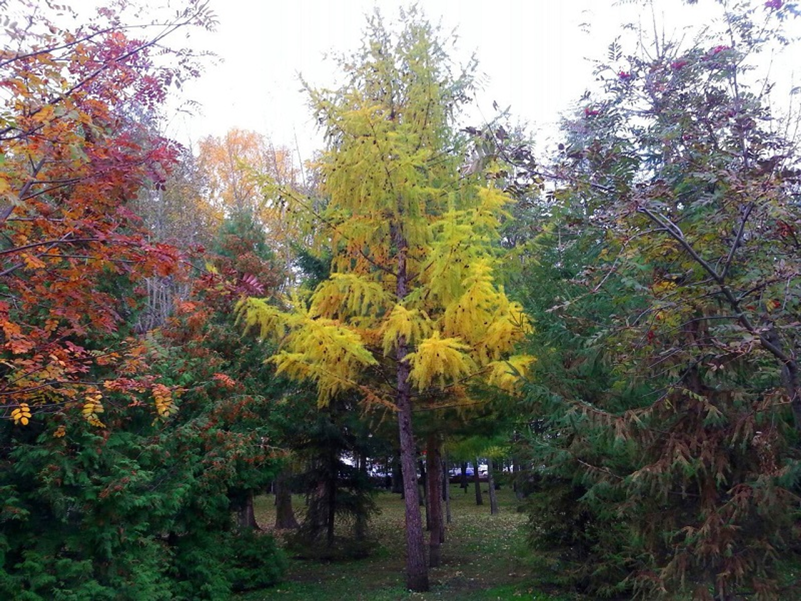 Фото автора.