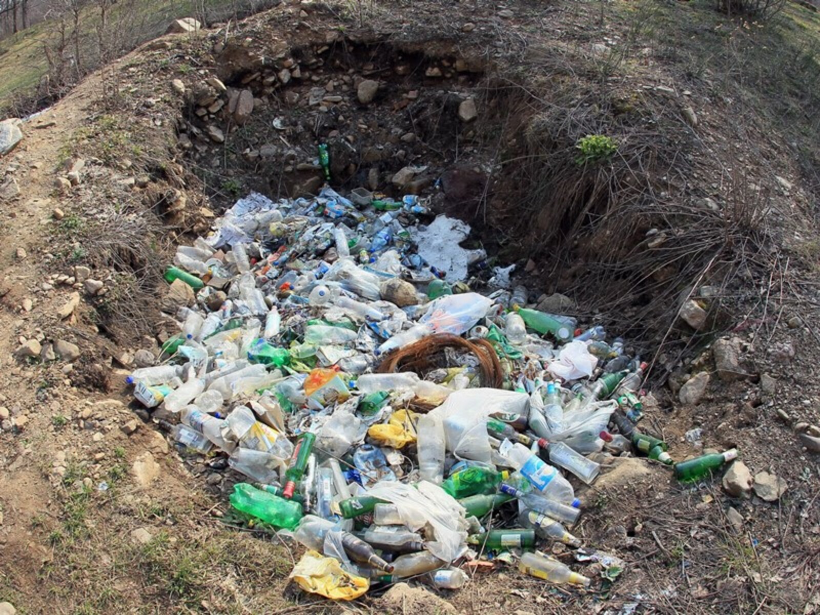 Фото Олега Яровикова.