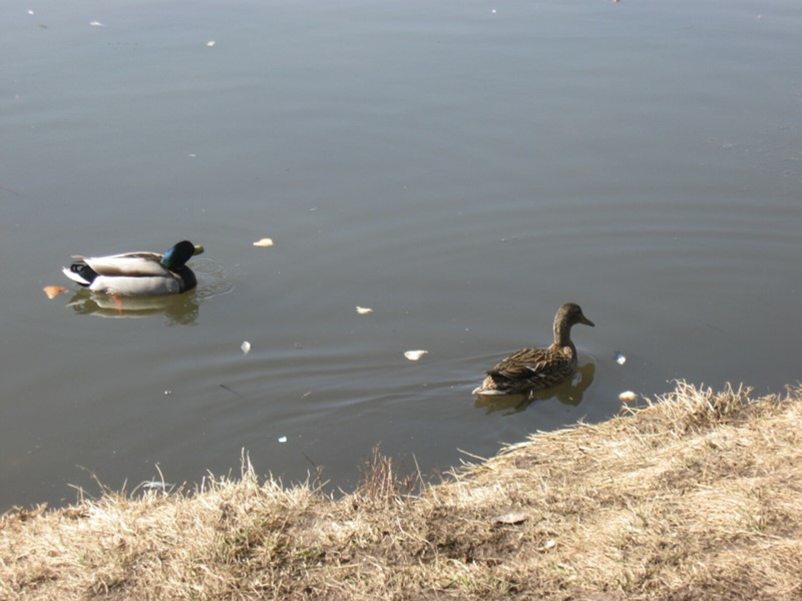 Фото автора.