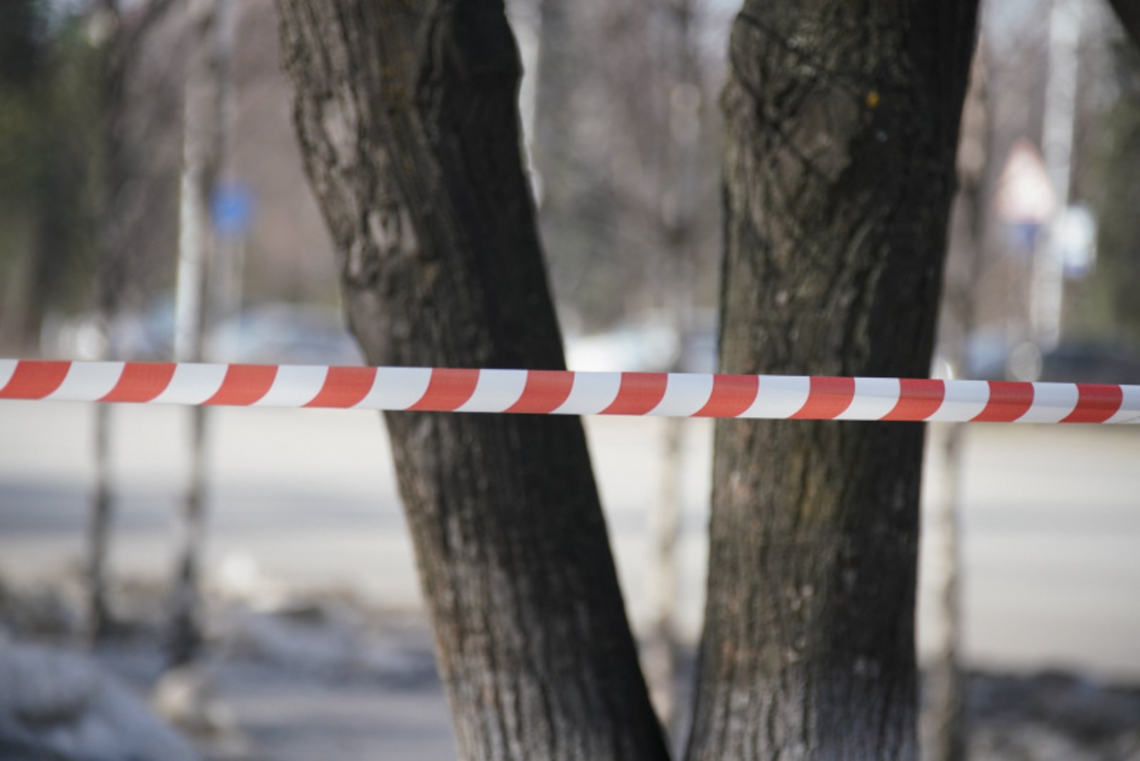 Фото Олега Яровикова.