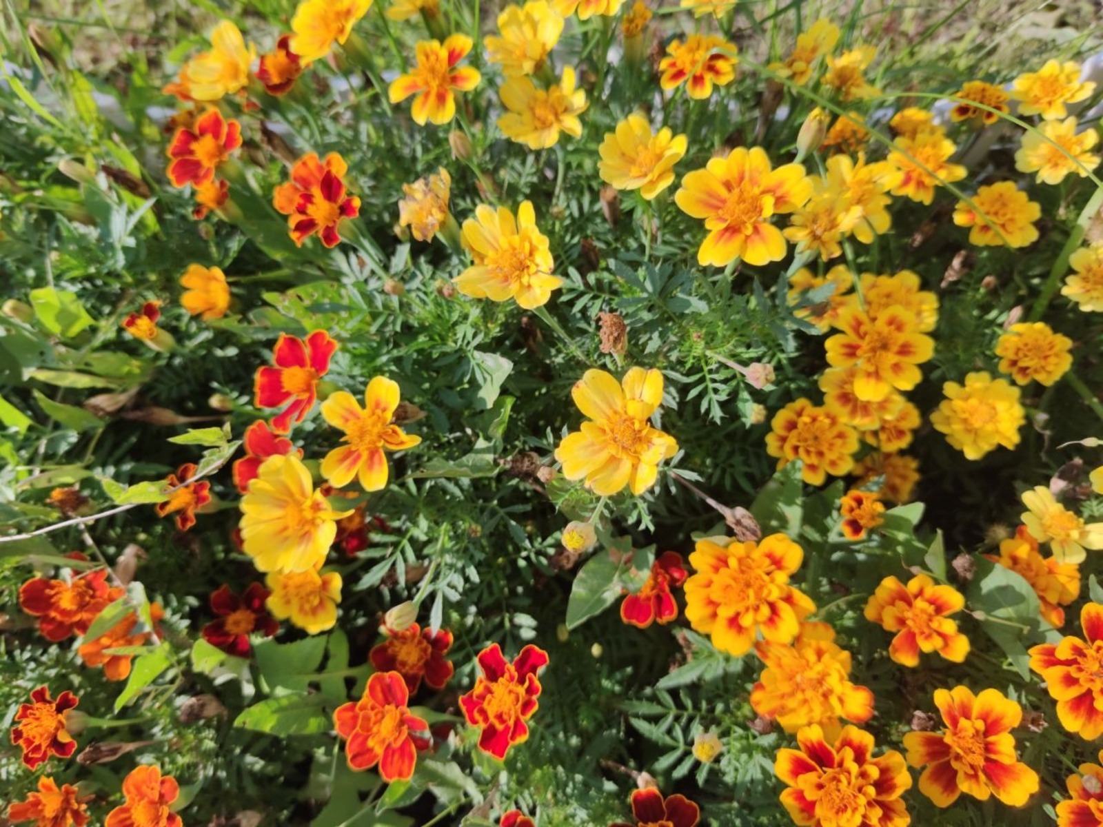 Дарьи Святохиной.