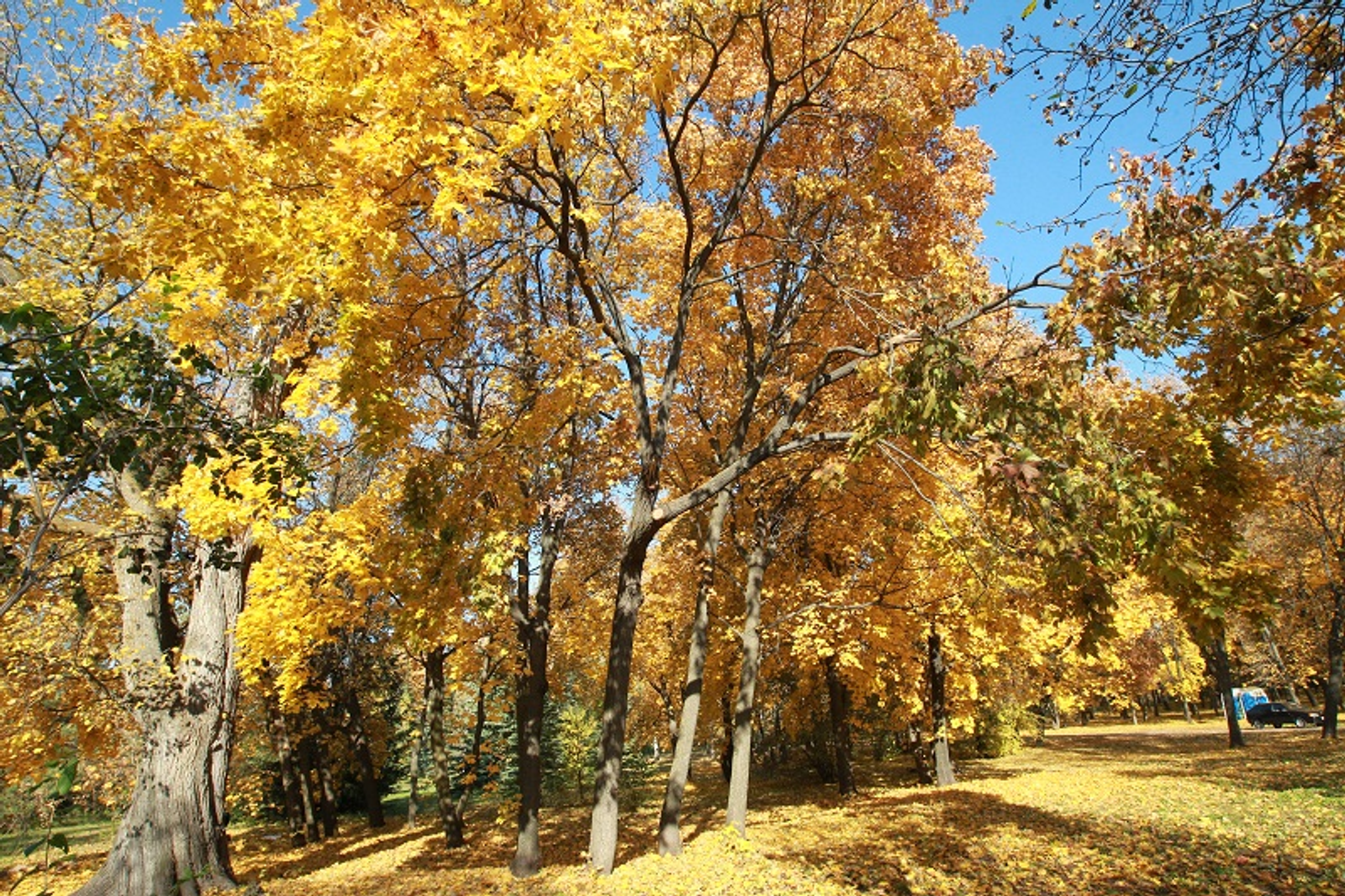 Фото Олега Яровикова.