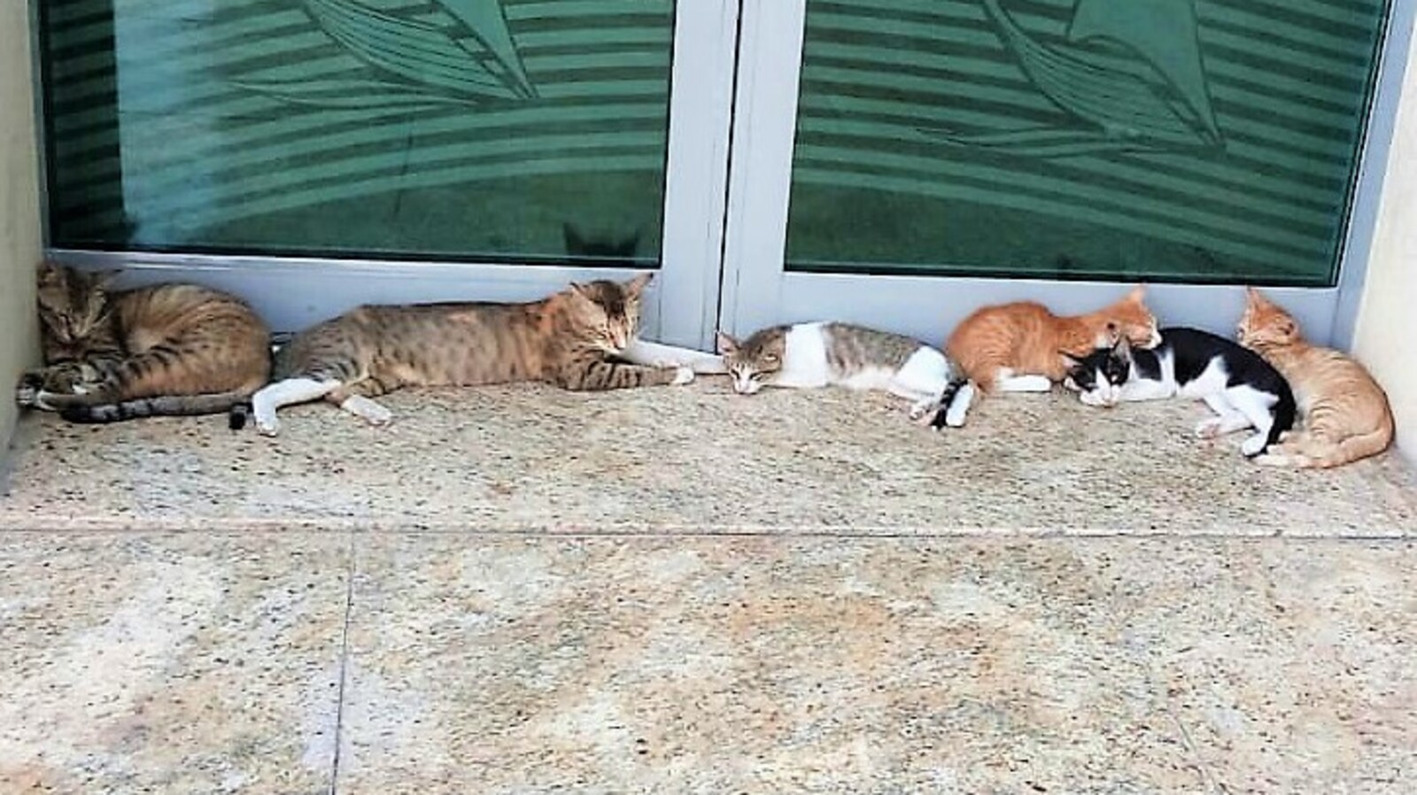 Фото Евгении Сюткиной.