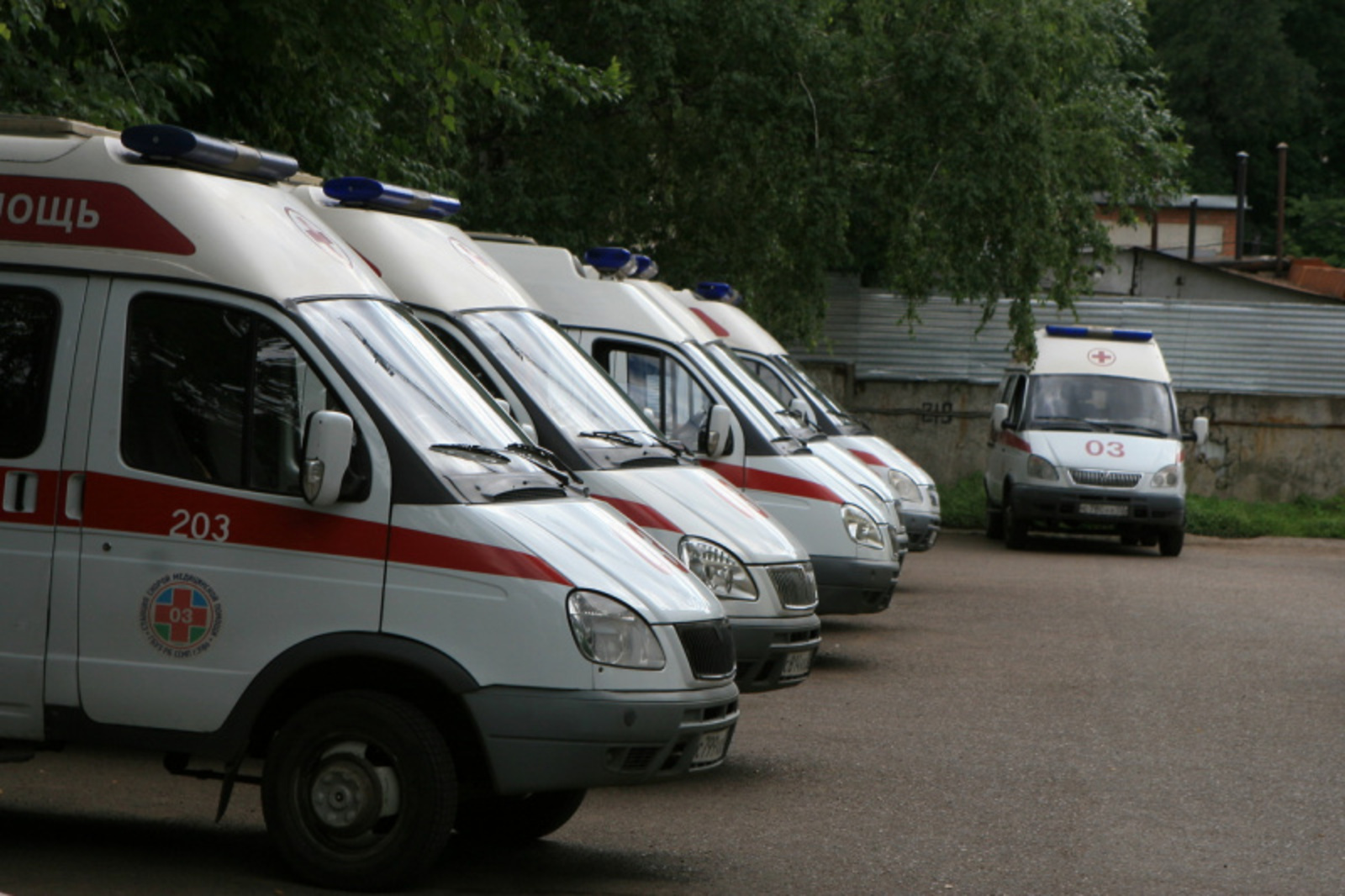 Фото Андрея Старостина.