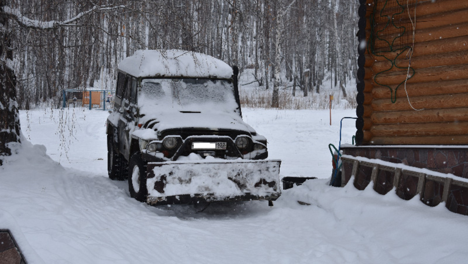 Елены Колоколовой.