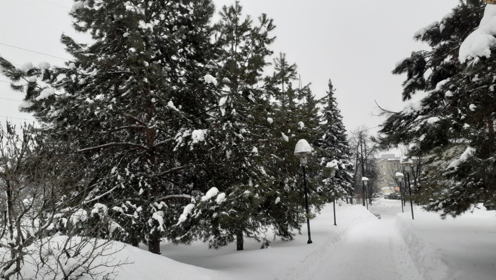 Владимира Шакиева. «Общественная электронная газета».