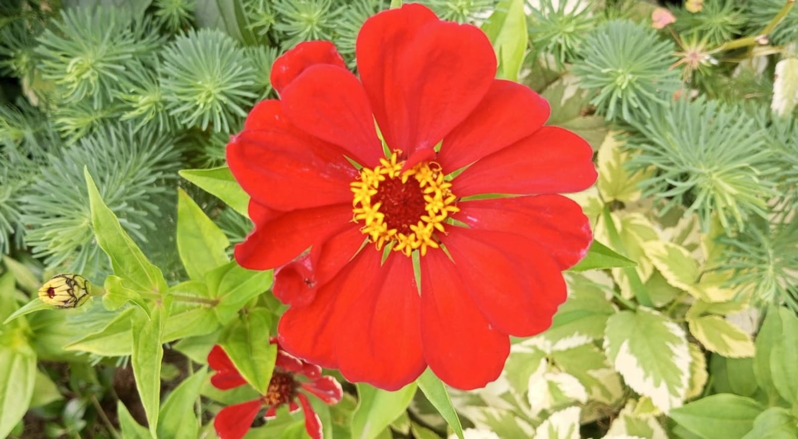 Евгении Сюткиной.