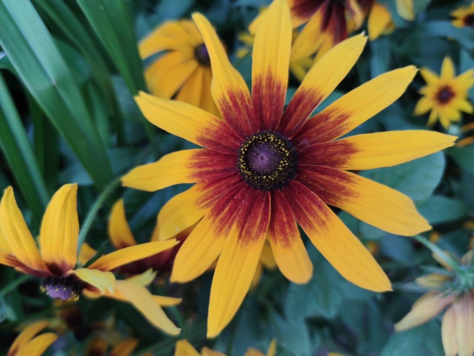 Дарьи Святохиной.