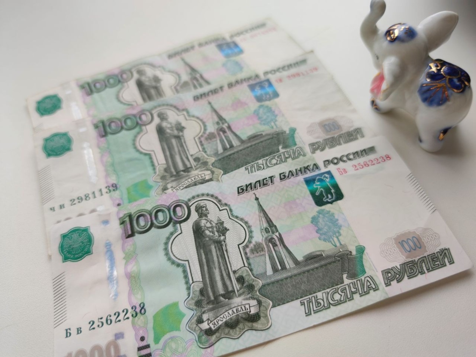 Дарьи Святохиной.