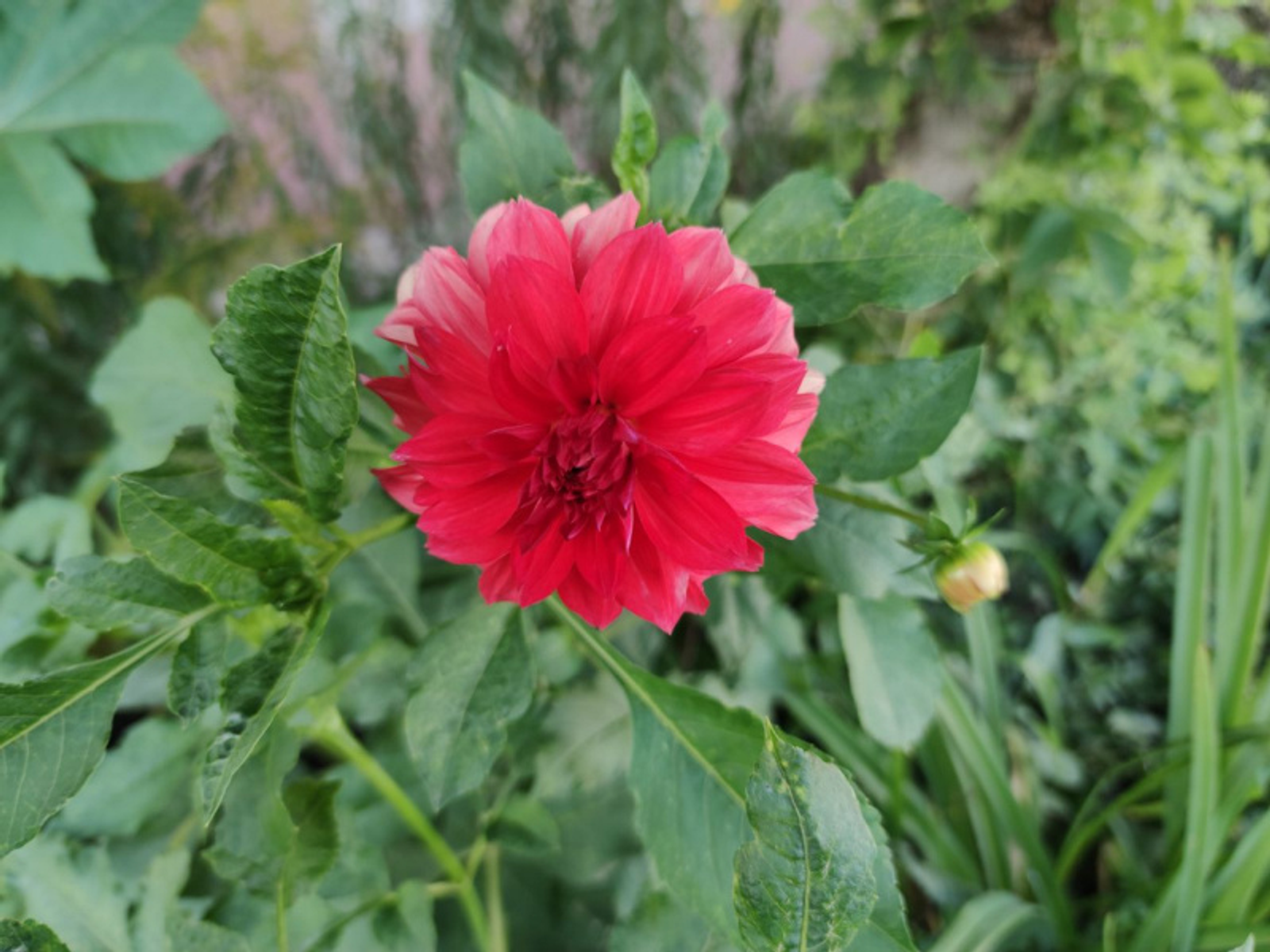 Фото автора.