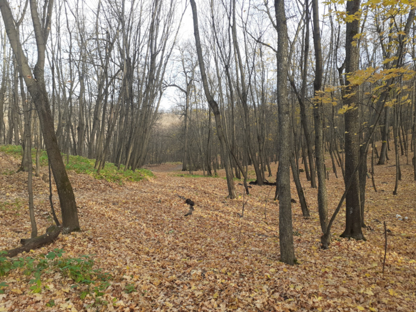 Фото Елены Колоколовой.