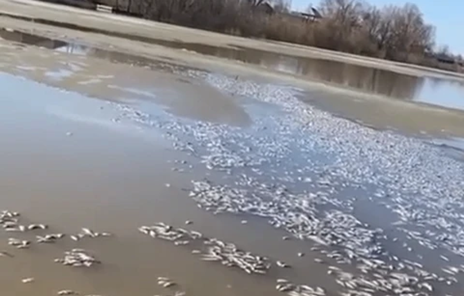 телеграм-канал «Честно говоря». телеграм-канал «Честно говоря».