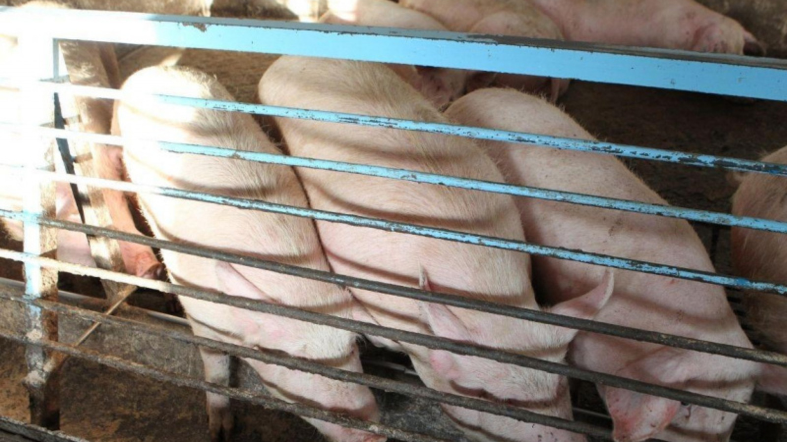 Фото ИА "Башинформ".