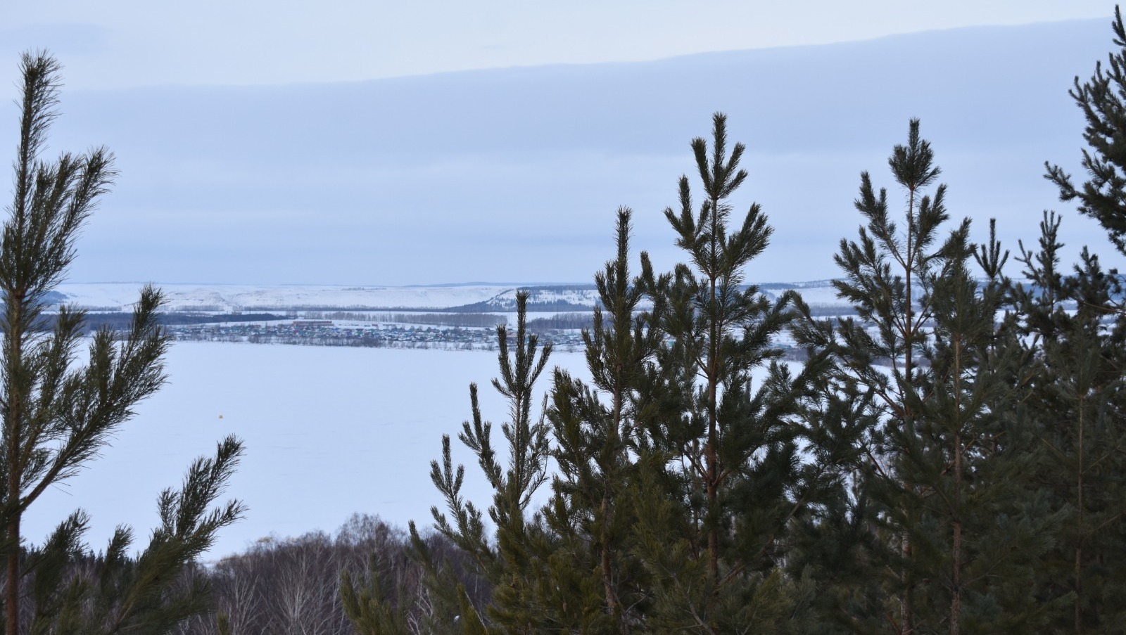 Елены Колоколовой.