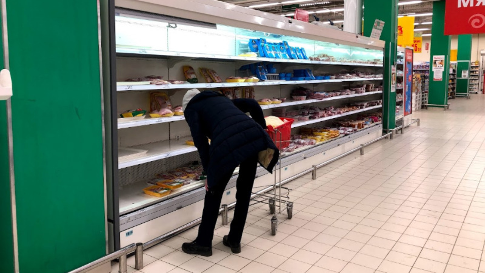 Елены Колоколовой.