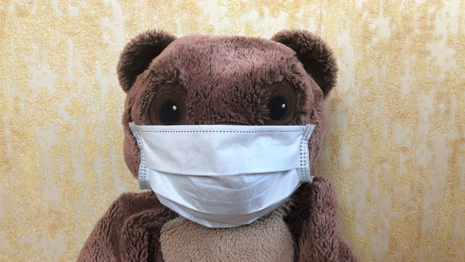 Елены Колоколовой.