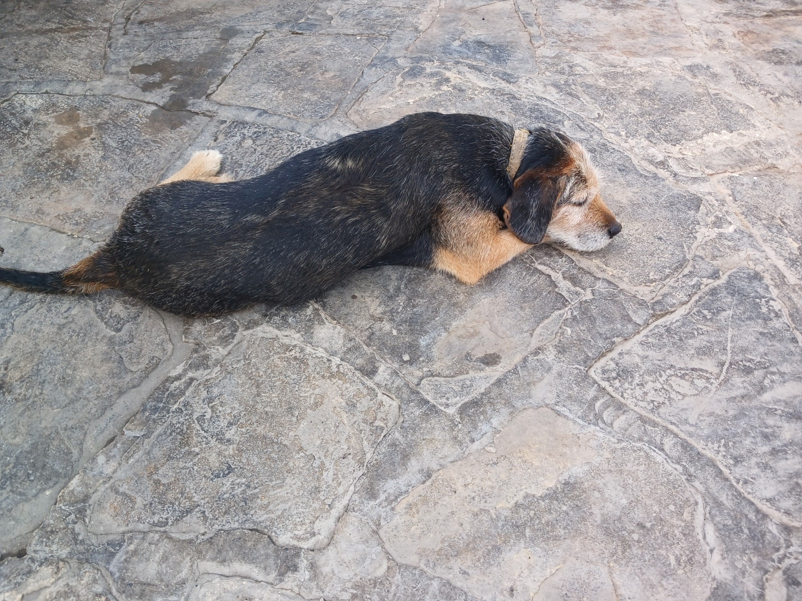 Васили Саитовой. «Общественная электронная газета».