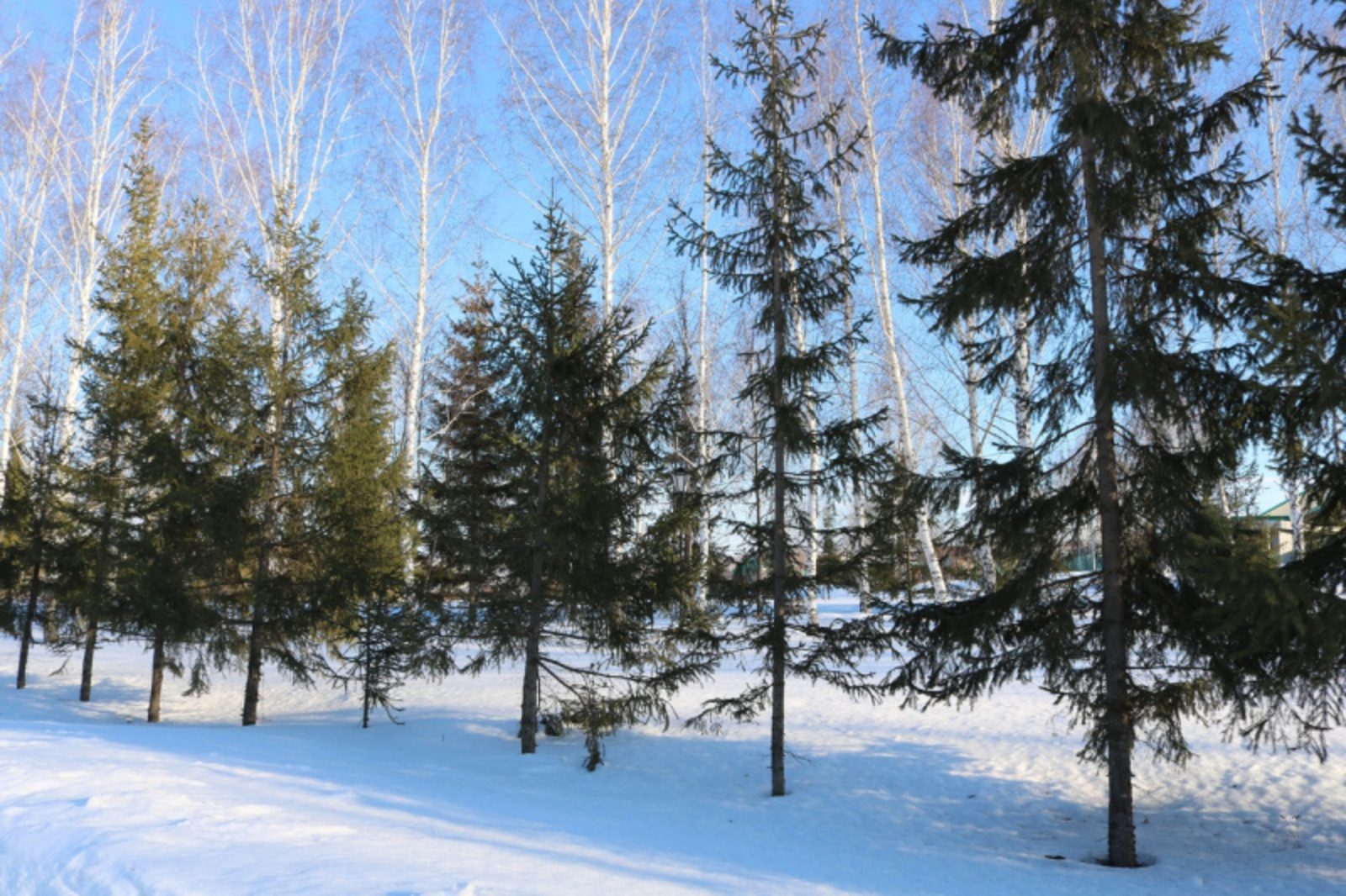 Фото Фарида Гильмиярова.