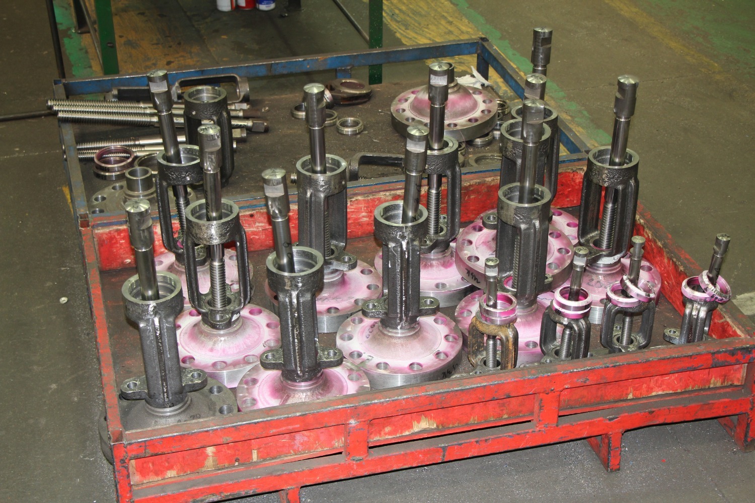 Евгении Сюткиной.