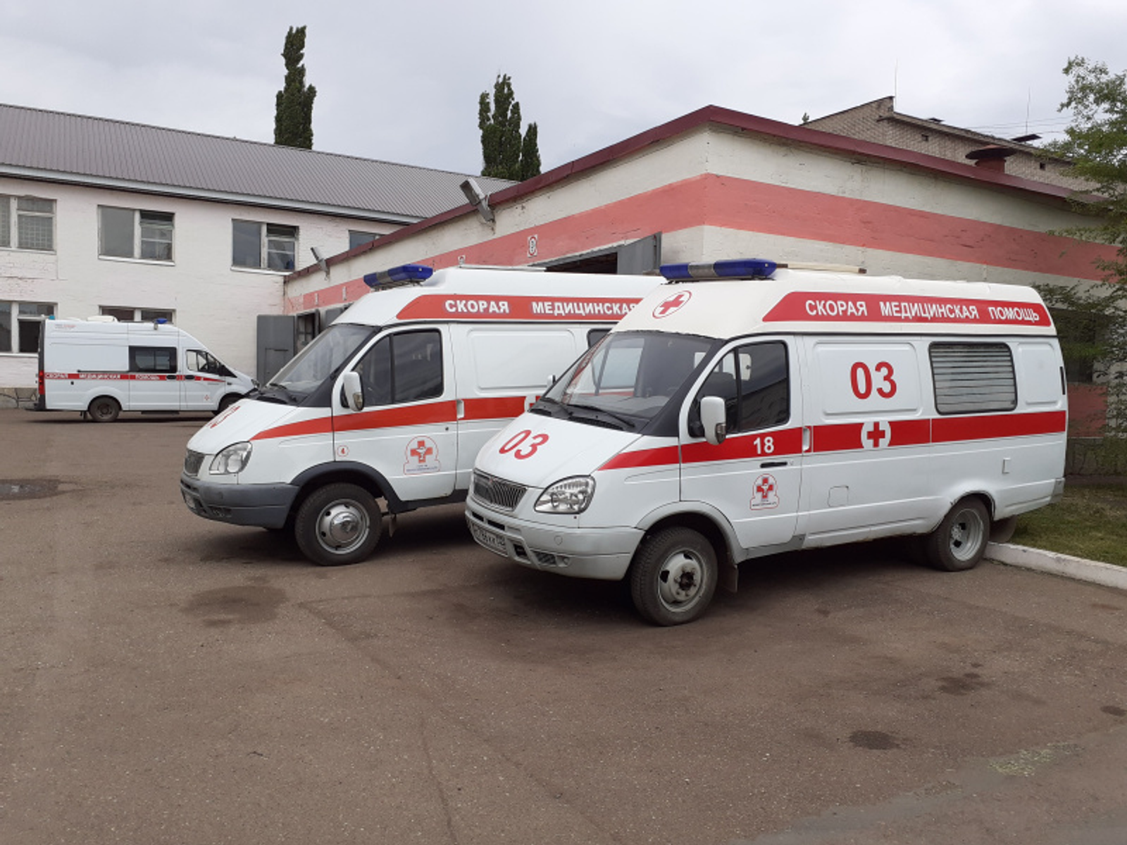 Фото автора.