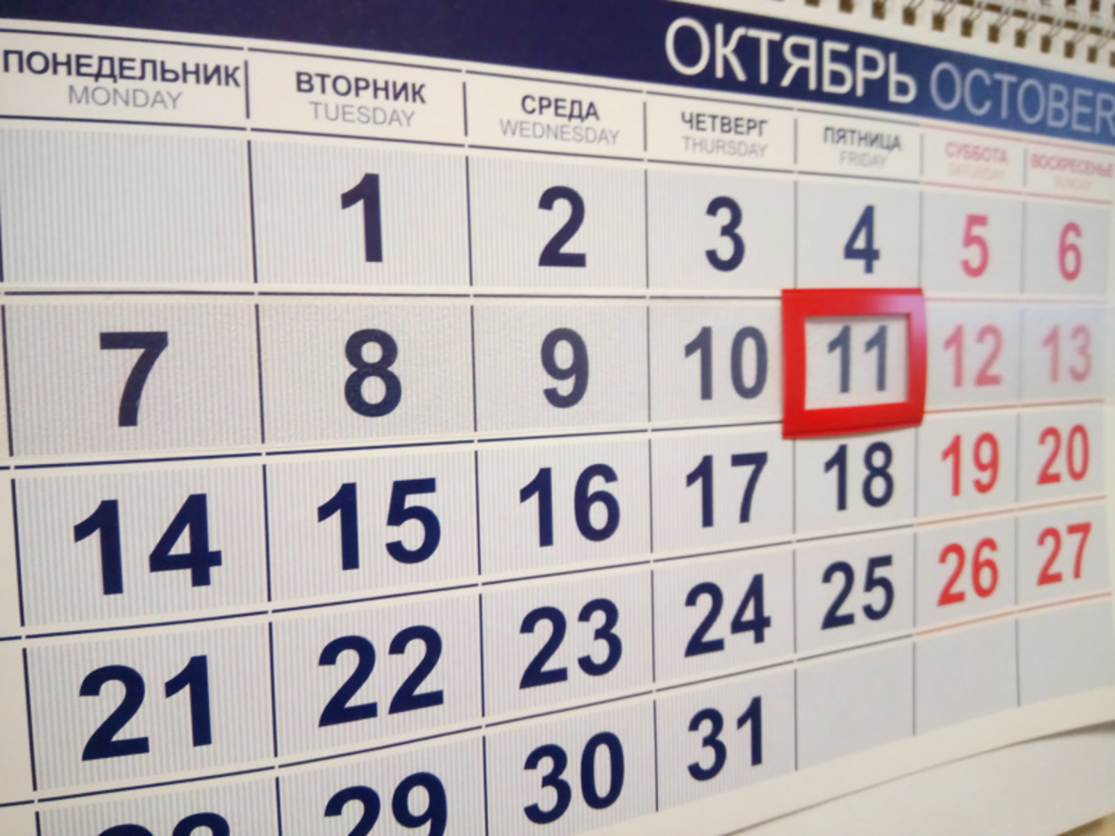 Фото Васили Саитовой.