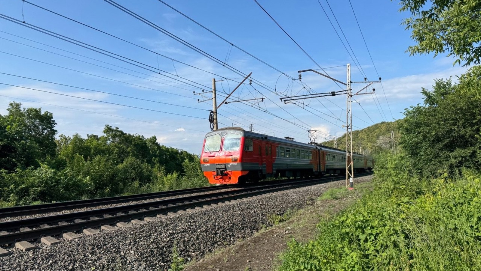 Елены Колоколовой.