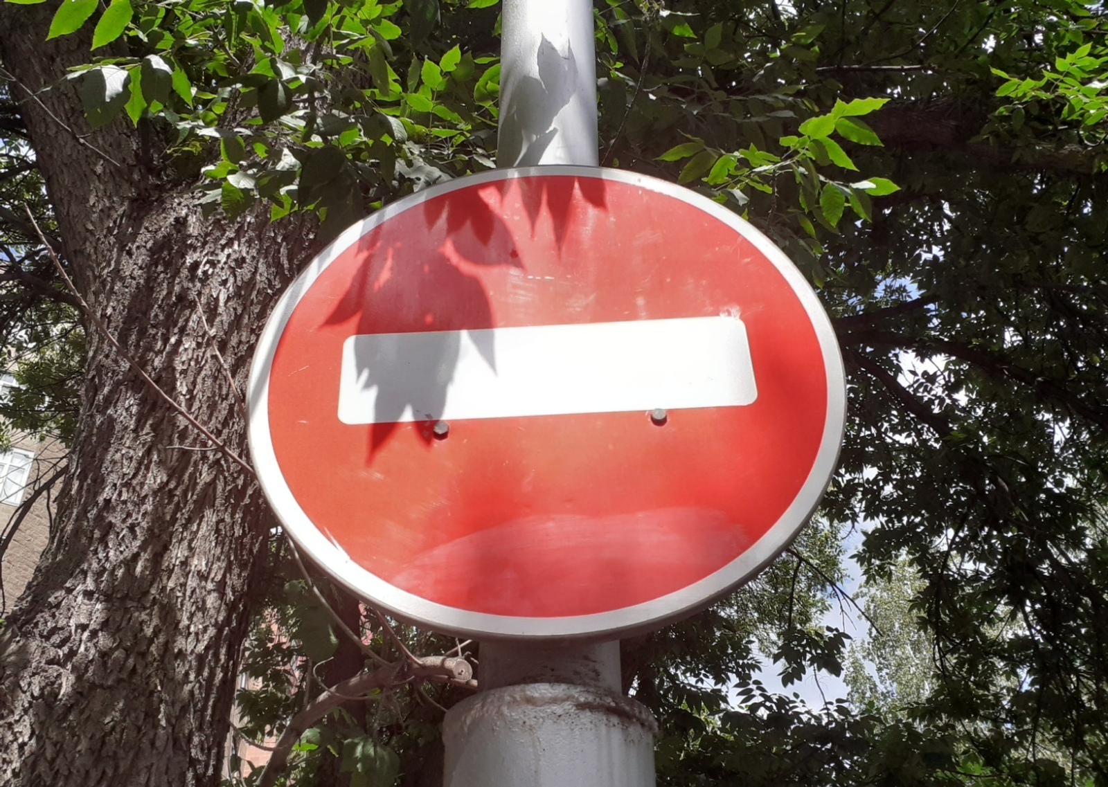 Владимира Шакиева.