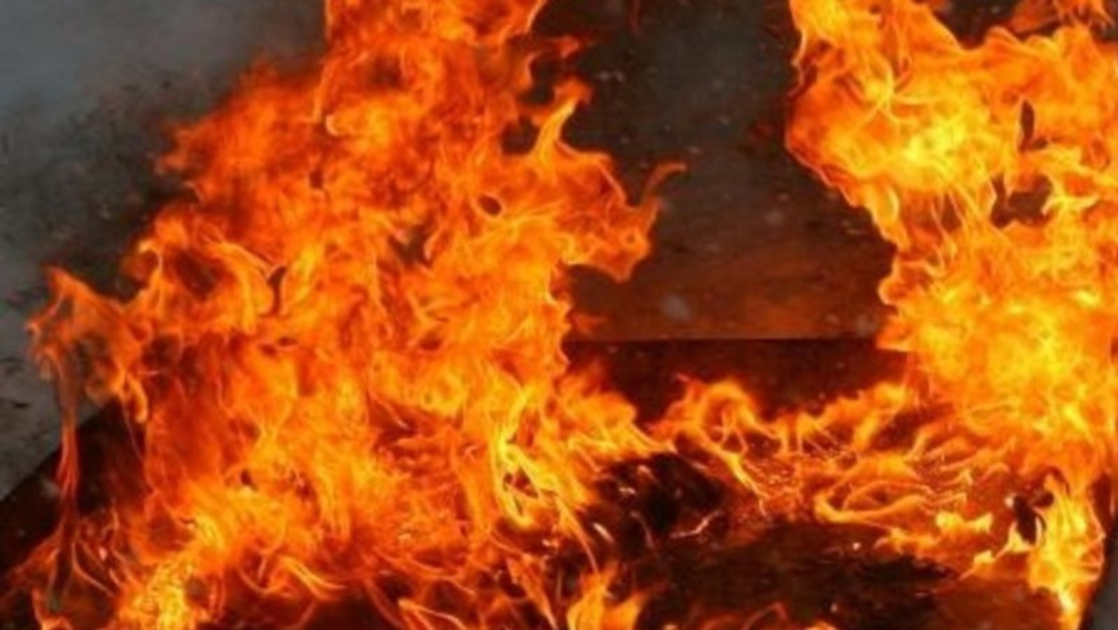 Андрея Старостина.