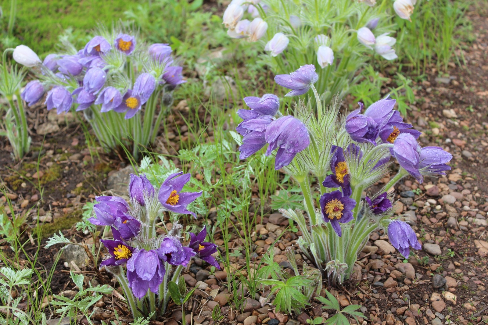Дарьи Святохиной.