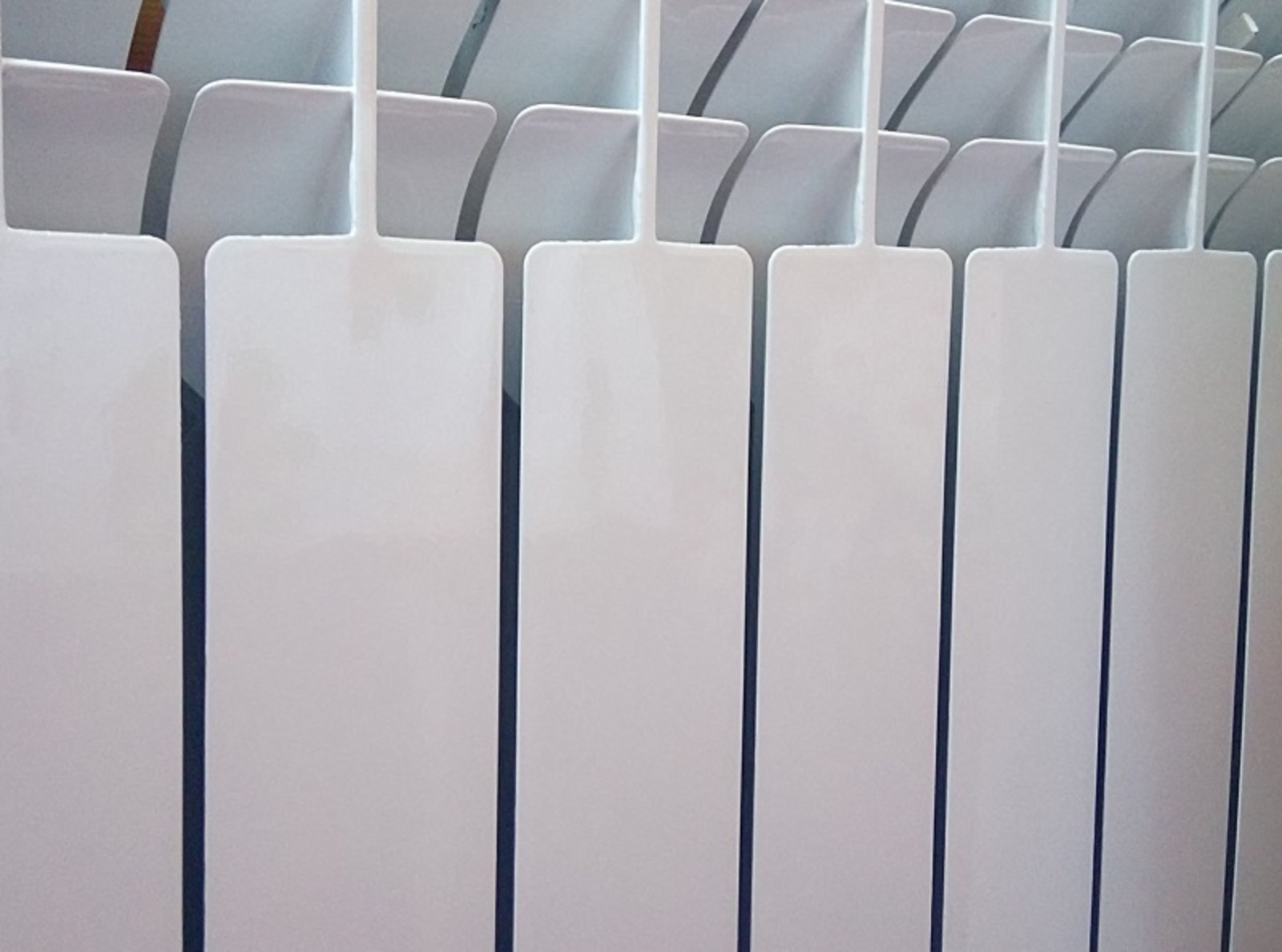 Фото Васили Саитовой.