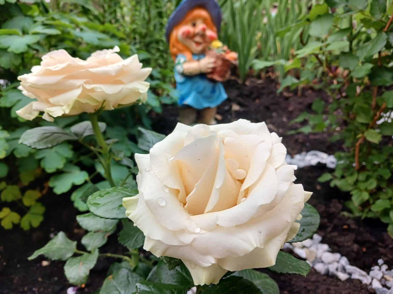 Васили Саитовой.