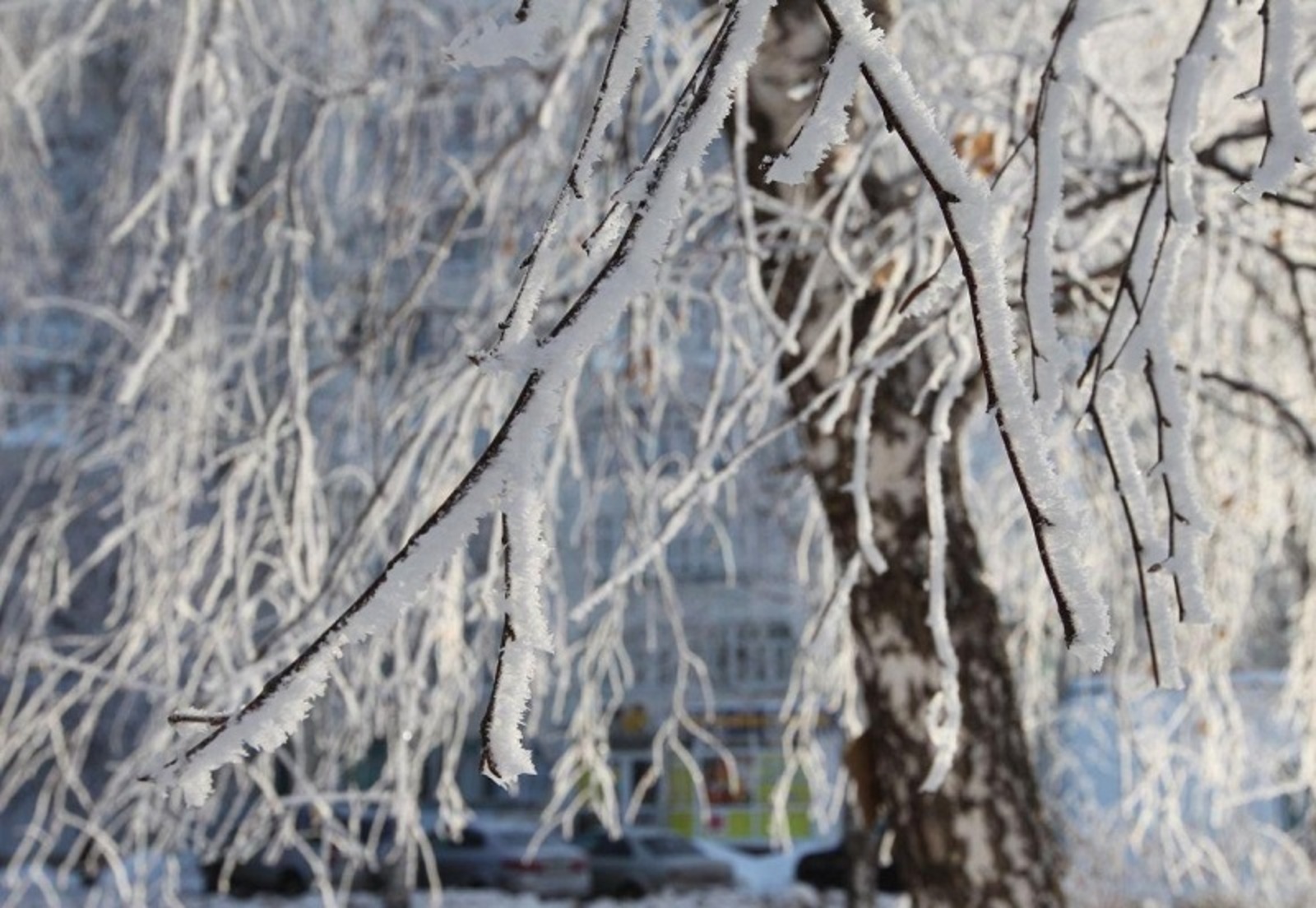 Фото Олега Яровикова.