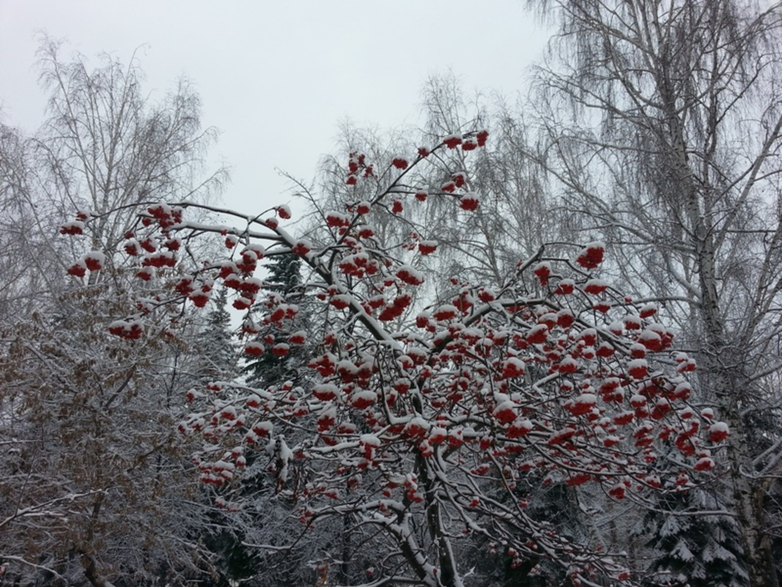 Фото автора.