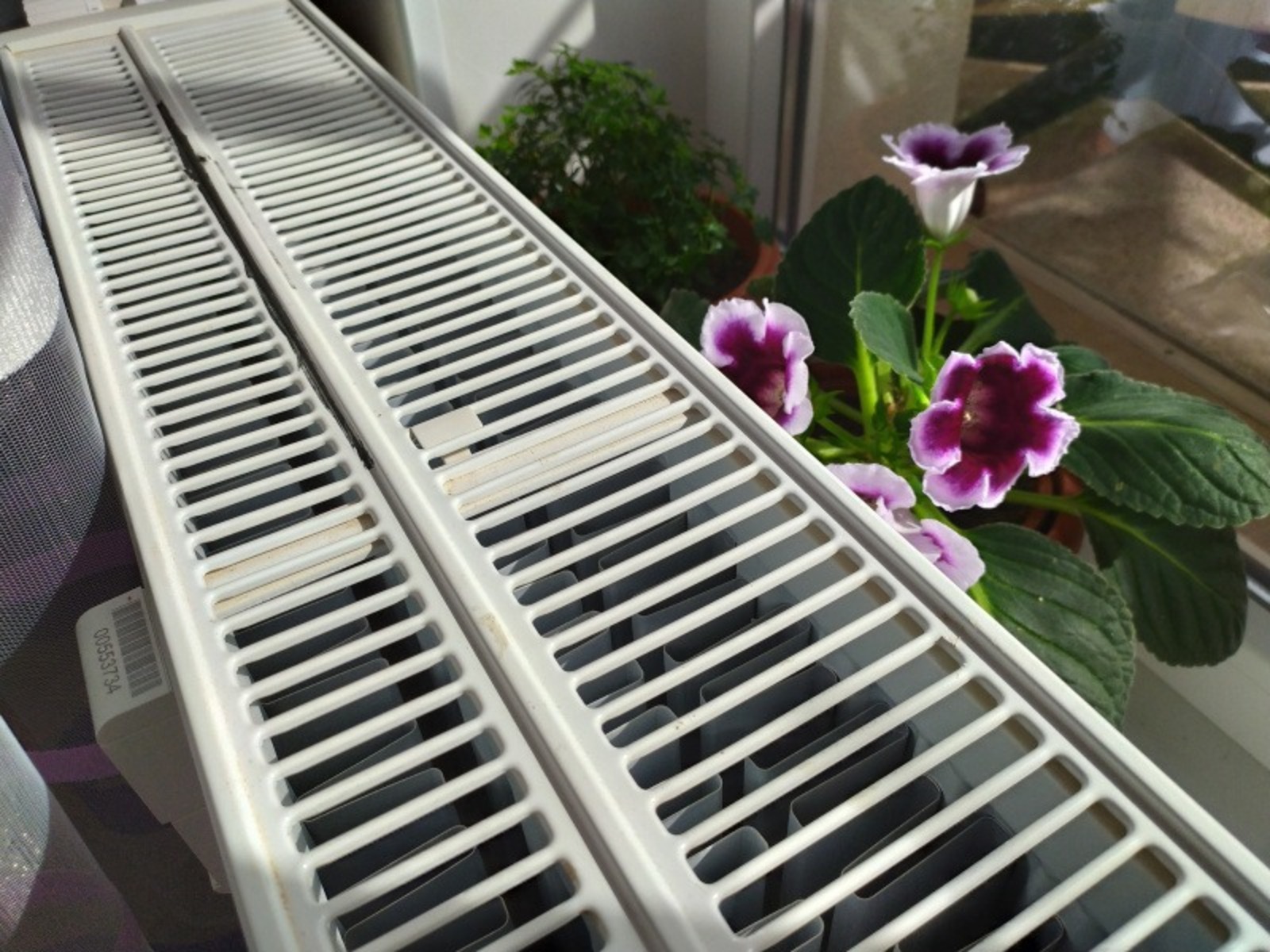 Васили Саитовой.