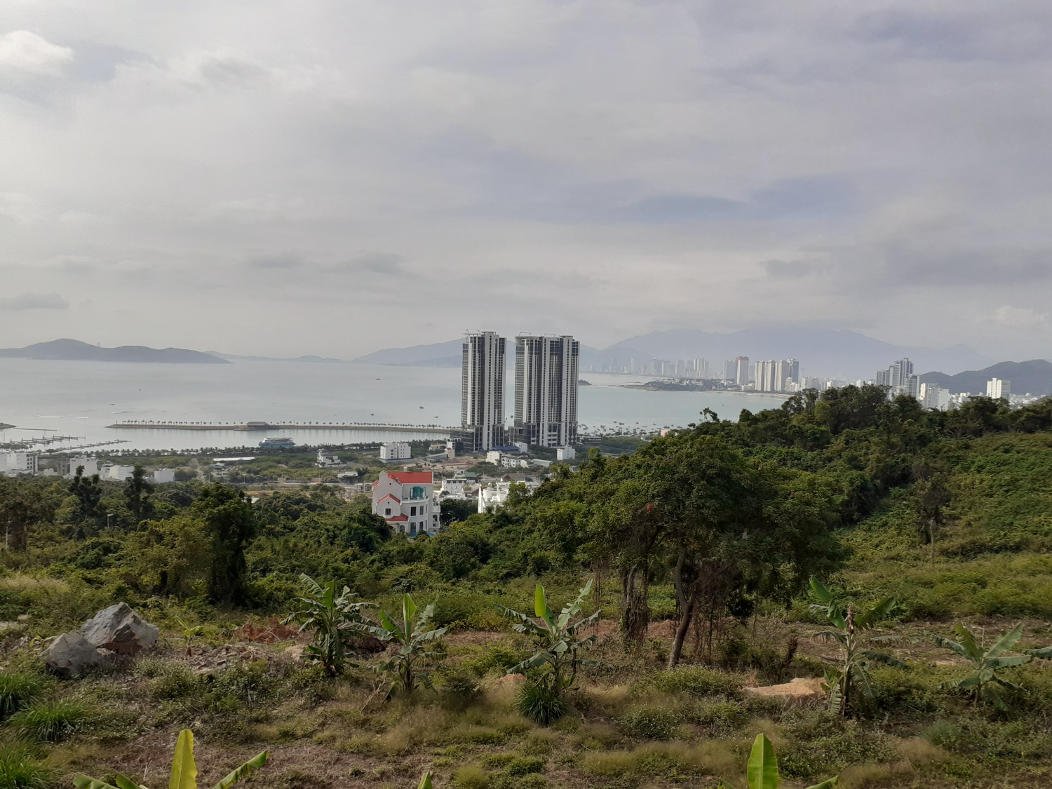 Владимира Шакиева. «Общественная электронная газета».