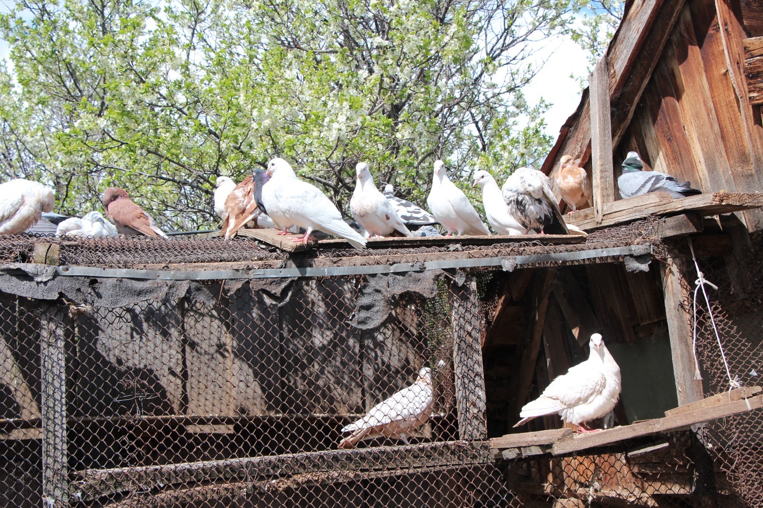 Евгении Сюткиной.