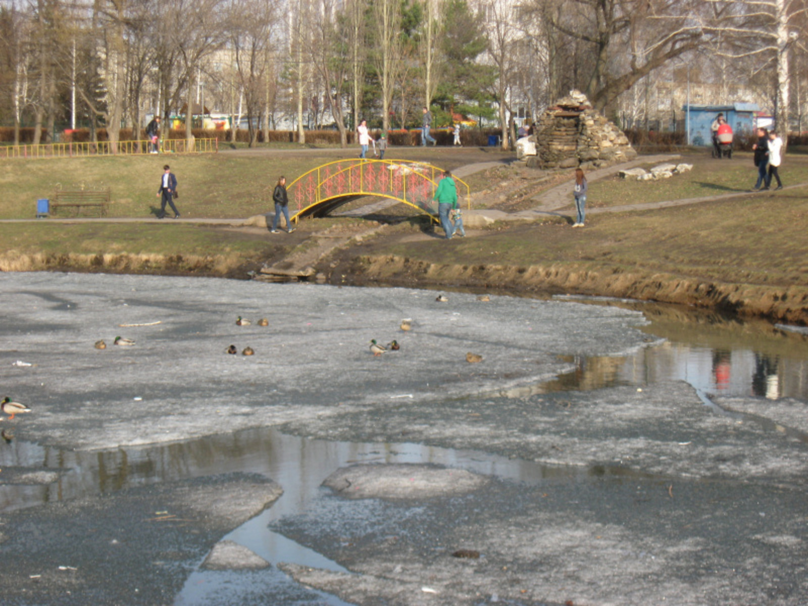 Фото автора.